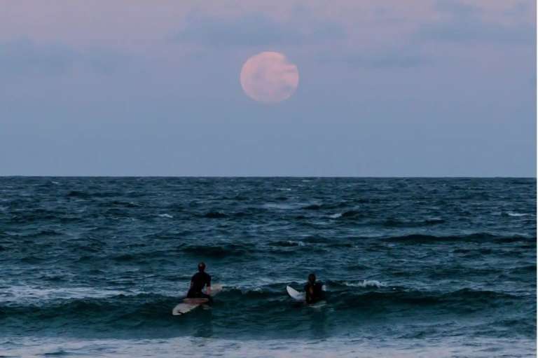 Los surfistas contemplan la luna llena en la playa de Manly en Sydney, Australia