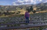 Una startup que busca conectar el campo con la ciudad por medio de inversiones