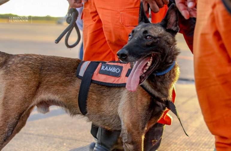 Rambo vivía en un hogar donde lo maltrataban, hoy es un héroe que salva vidas en Venezuela