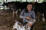 Leche y café para cuidar los bosques amazónicos de Caquetá