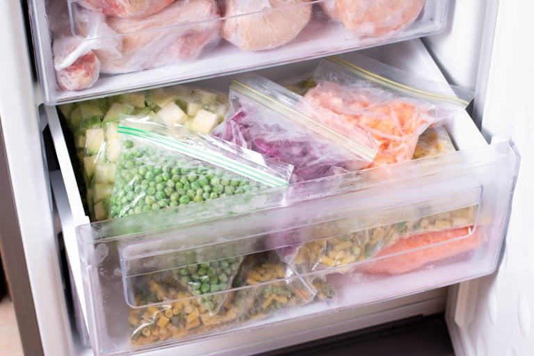 ¿Cómo descongelar alimentos? Tres métodos para lograrlo