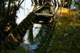 ¿Por qué en la Amazonia pegó tan duro la pandemia?