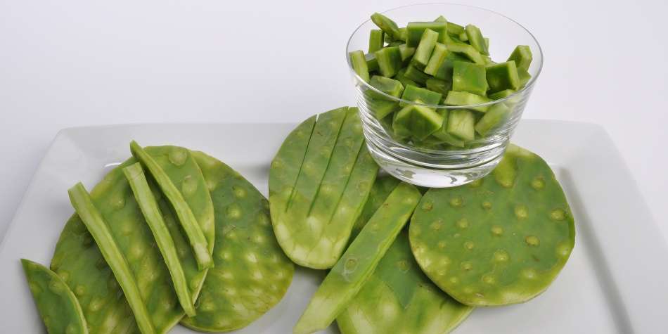 El nopal, fuente de salud y belleza