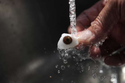 Ojo por ojo: el arte de las prótesis oculares