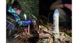 Insectos amazónicos construyen torres; un experimento con condones busca entender por qué