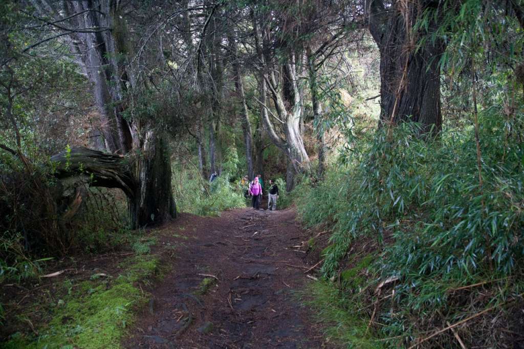 El sendero de la quebrada La Vieja fue reabierto el pasado 30 de octubre, después de permanecer cerrado por casi dos años.  / Cortesía EAAB