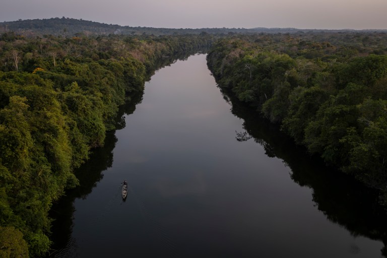 Investigan en la Amazonia a un parásito que está afectando a peces en todo el mundo