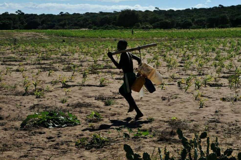 Si la temperatura global aumenta solo en 2 grados Celcius el riesgo de conflicto armado se doblaría, llegando al 13%. / Pixnio