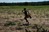 El cambio climático aumentó hasta en un 20% el riesgo que se diera un conflicto armado en el último siglo