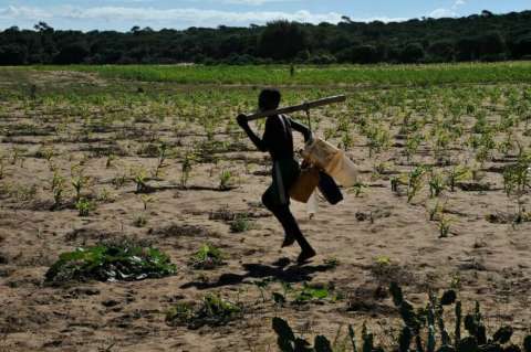 El cambio climático aumentó hasta en un 20% el riesgo que se diera un conflicto armado en el último siglo
