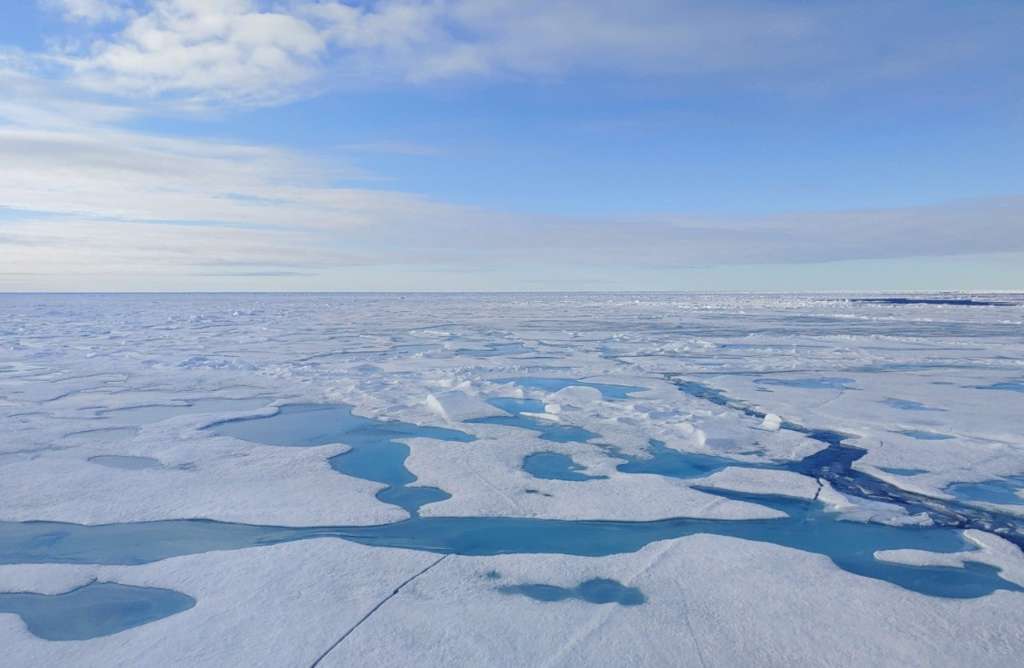 El hielo marino del Ártico se está derritiendo a un ritmo sin precedentes. - CÉLINE HEUZÉ/UNIVERSIDAD DE GOTEMBURGO
