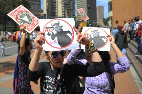 Comisión Primera de la Cámara aprobó proyecto que prohibirá las corridas de toros