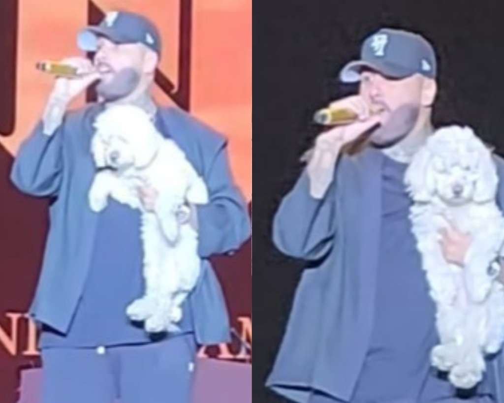 Nicky Jam encontró una perrita en concierto, la subió al escenario y ahora le buscan hogar