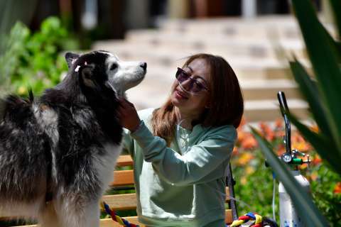 Cuando los animales se convierten en el mayor apoyo de pacientes hospitalizados