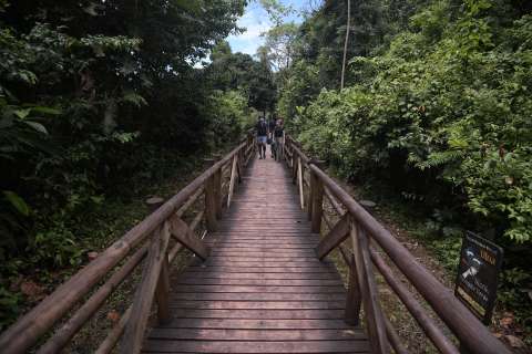 Becas para colombianos: abren convocatoria para investigar sobre biodiversidad