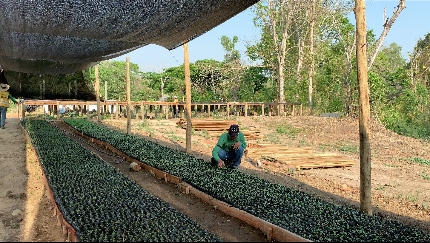 La Gloria, lugar donde se desarrollará el proyecto de reforestación de la Fundación Santo Domingo. /Cortesía.