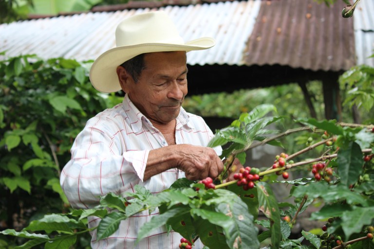 Así es la Ruta Mágica del Café, motor de desarrollo agroturístico en Huila