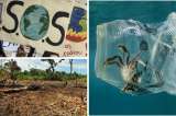 Las preocupaciones que deja el estado actual de la Tierra