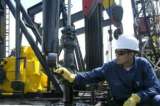 Petrominerales anunció producción de 5.900 barriles en Curito