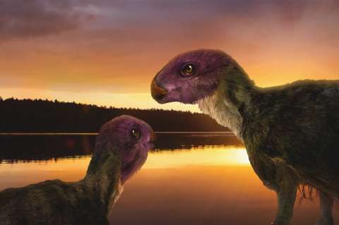 Este es el “corredor más pequeño del Jurásico”, una nueva especie de dinosaurio