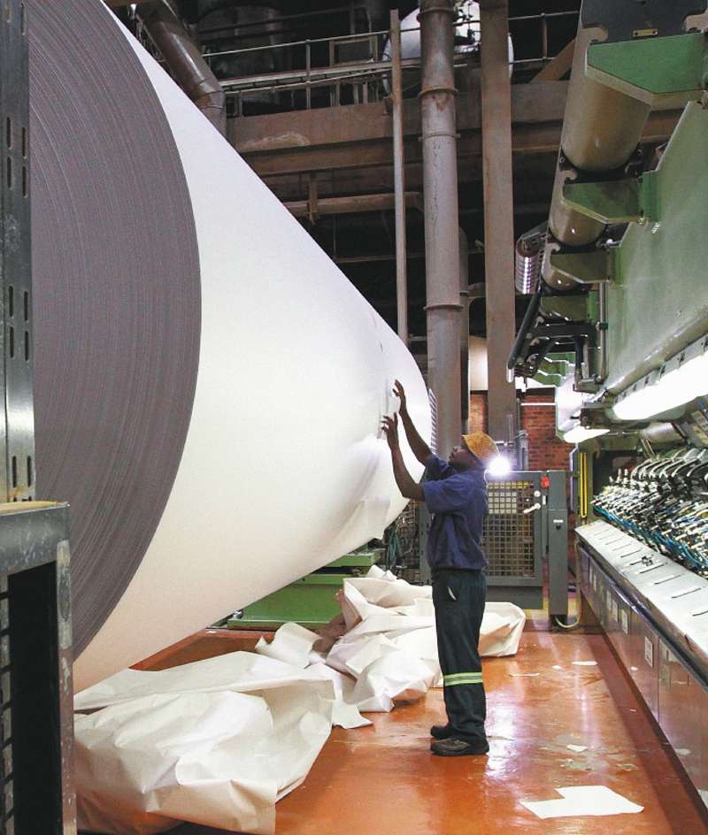 Según la empresa encargada de su fabricación, solo el 0,06 % del papel en el mundo se obtiene de bagazo de caña. / Imagen Referencia - Bloomberg
