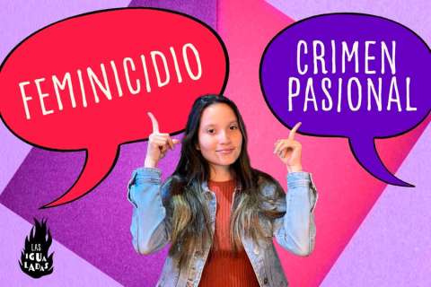 ¿Por qué se habla de “feminicidio” y no de “crimen pasional”?