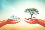 Sostenibilidad es ser responsable económica, social y ambientalmente con el planeta