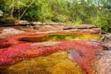 Refuerzan seguridad en Caño Cristales