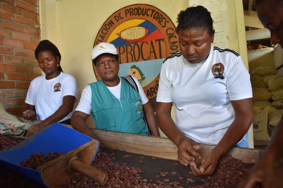 Proyectos PDET