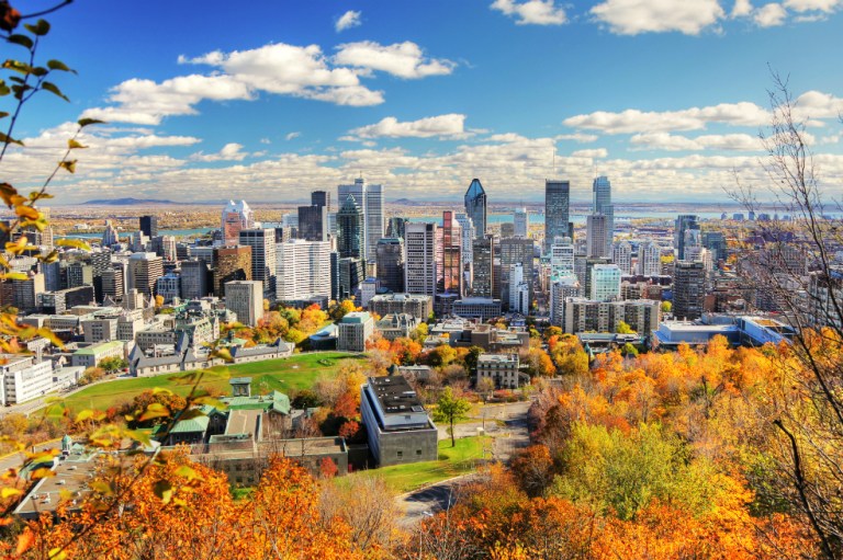 Cop15 de biodiversidad será en Canadá y no en China por polémica política de ‘cero-Covid’