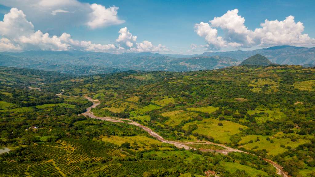 La meta del proyecto es sembrar 2,3 millones de árboles en ecosistemas clave en Antioquia, Caldas, Risaralda, Córdoba y Chocó.