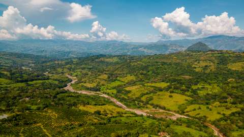 Un plan para reforestar cinco departamentos junto a las comunidades