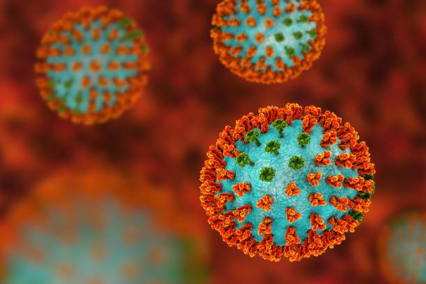 Detectan en Reino Unido el primer caso mundial de gripe aviar en ovejas