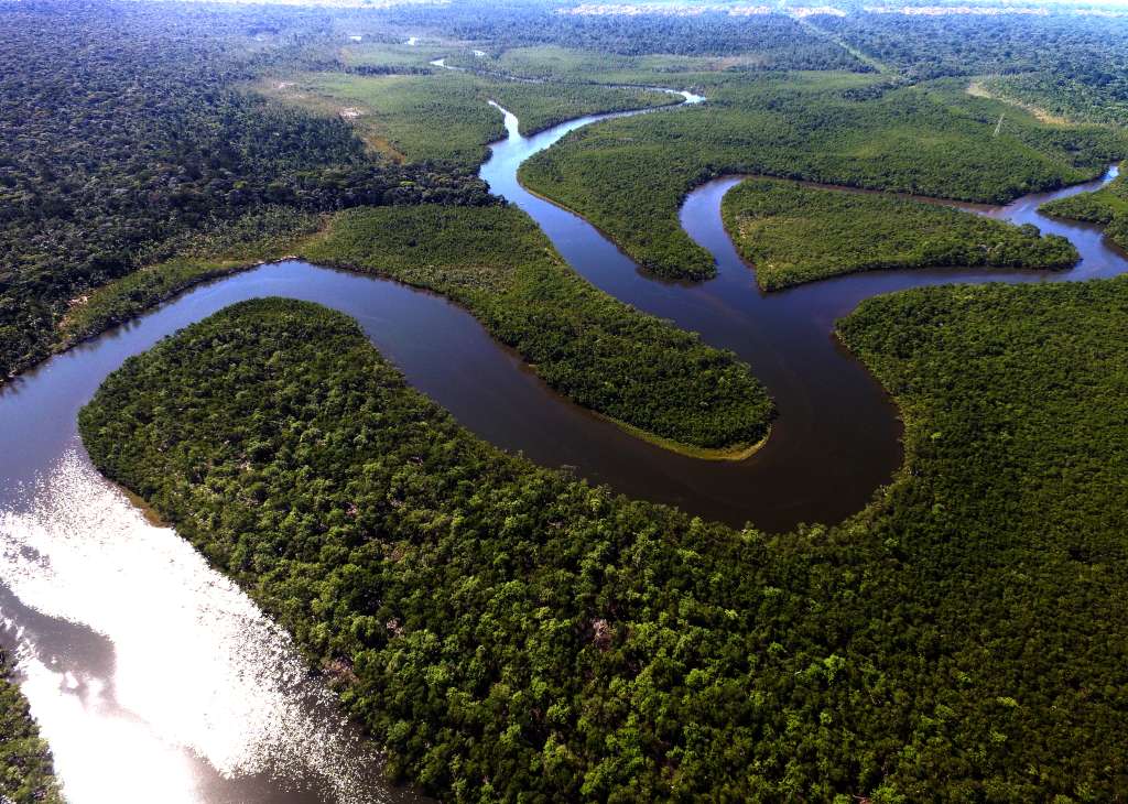 Con la iniciativa se han protegido 250 hectáreas de bosque en el país.
