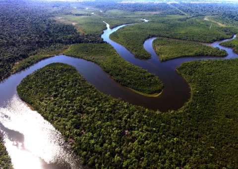 Amazonía Viva, la apuesta de sostenibilidad de Natura en Colombia