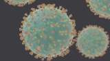 El caso de un paciente en el que el coronavirus siguió replicándose por 218 días