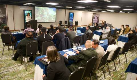 Lanzan campaña para proteger la Amazonia con el apoyo de autoridades religiosas