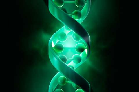 Proyecto Genoma II