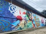Los murales con los que San Carlos honra a las víctimas de la guerra