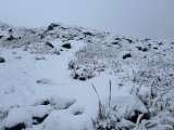 En fotos: la espectacular nevada que se presentó esta semana en el PNN Los Nevados