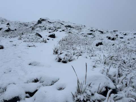 En fotos: la espectacular nevada que se presentó esta semana en el PNN Los Nevados
