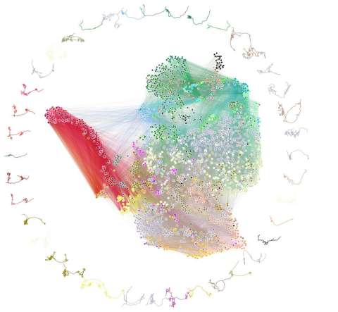Logran el primer mapa del cerebro de un insecto y de sus conexiones neuronales