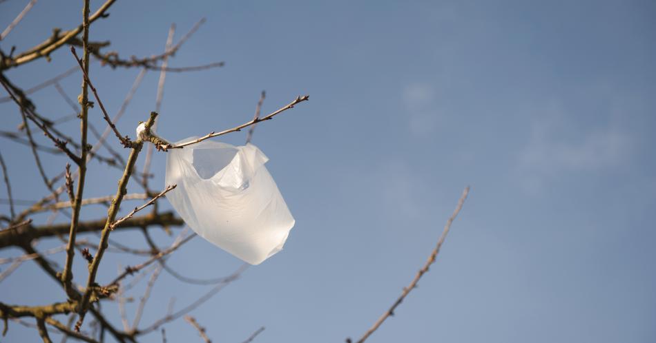 ¿Por qué evitar el uso de bolsas plásticas?