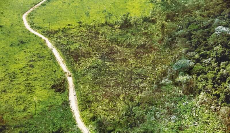 Una trocha de las Farc ha sido aprovechada para construir ilegalmente una carretera de 138 km entre Calamar y Miraflores. / Rodrigo Durán DTAM