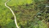 Deforestación tiene en líos a tres alcaldes