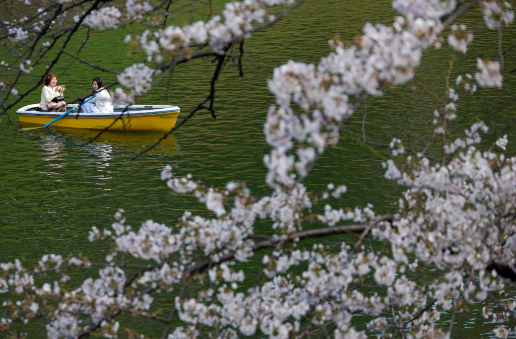 TOKYO (Japan), 30/03/2026.- People rowing a boat enjoy the view of cherry blossoms in full bloom at Chidorigafuchi Moat in Tokyo, Japan, 30 March 2026. Cherry blossoms in central Tokyo have reached full bloom slightly earlier than usual this year. (Japón, Tokio) EFE/EPA/FRANCK ROBICHON
