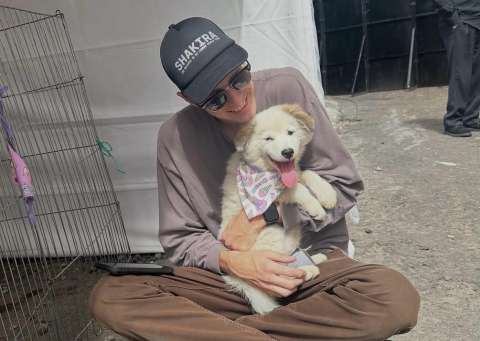 Perrito callejero conquistó al equipo de Shakira y ahora los acompaña en la gira