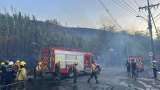 Incendio en Cristo Rey habría sido provocado: ofrecen recompensa por responsables en Cali