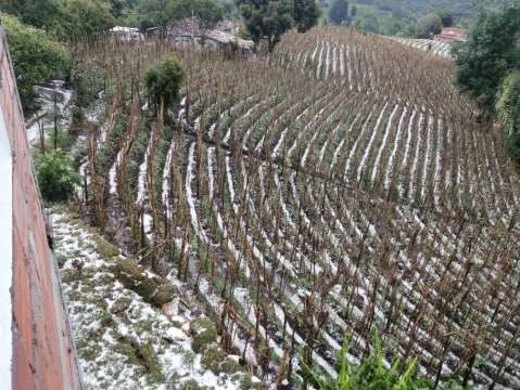 Granizada afectó vías y cultivos en el oriente antioqueño