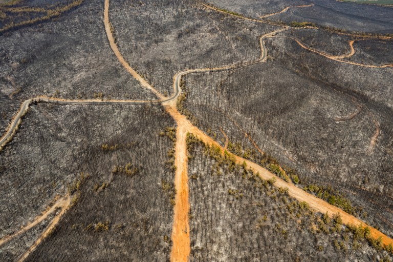 "Si en los últimos dos años hemos vivido cinco grandes incendios, en estos 12 días nos hemos enfrentado a 16 grandes fuegos", dijo Pakdemirli.